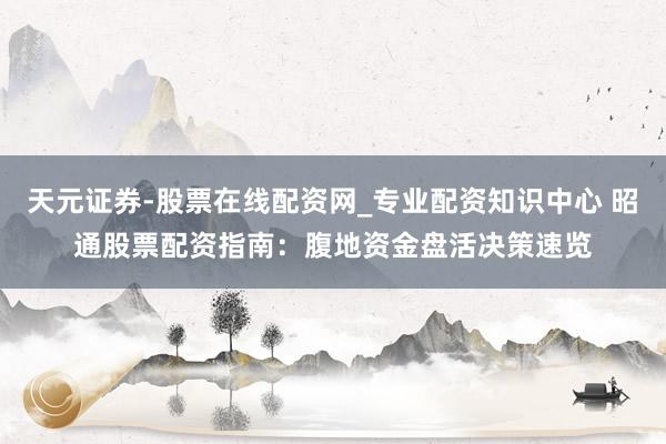 天元证券-股票在线配资网_专业配资知识中心 昭通股票配资指南：腹地资金盘活决策速览