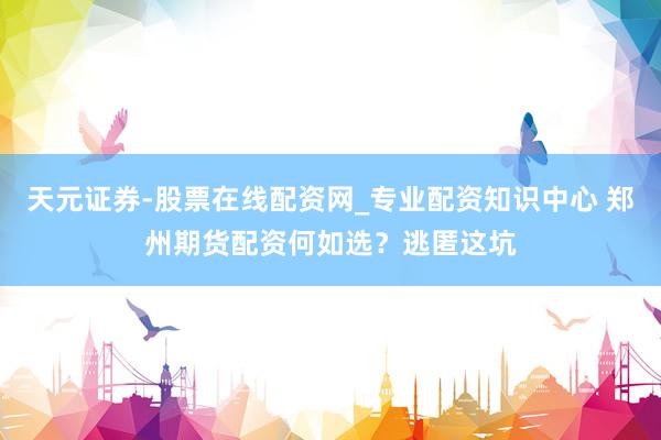 天元证券-股票在线配资网_专业配资知识中心 郑州期货配资何如选？逃匿这坑