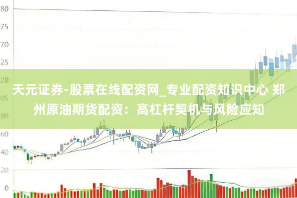 天元证券-股票在线配资网_专业配资知识中心 郑州原油期货配资：高杠杆契机与风险应知