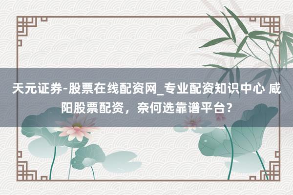 天元证券-股票在线配资网_专业配资知识中心 咸阳股票配资，奈何选靠谱平台？