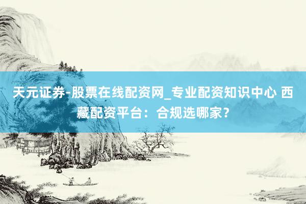 天元证券-股票在线配资网_专业配资知识中心 西藏配资平台：合规选哪家？