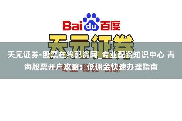 天元证券-股票在线配资网_专业配资知识中心 青海股票开户攻略：低佣金快速办理指南