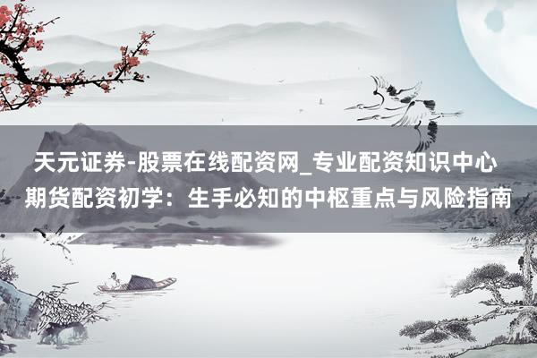 天元证券-股票在线配资网_专业配资知识中心 期货配资初学：生手必知的中枢重点与风险指南