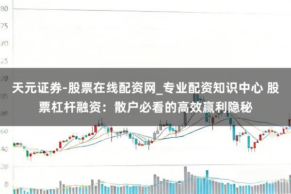 天元证券-股票在线配资网_专业配资知识中心 股票杠杆融资：散户必看的高效赢利隐秘