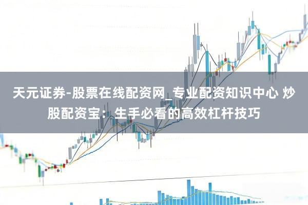 天元证券-股票在线配资网_专业配资知识中心 炒股配资宝：生手必看的高效杠杆技巧