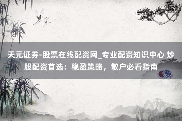 天元证券-股票在线配资网_专业配资知识中心 炒股配资首选：稳盈策略，散户必看指南